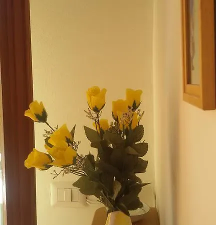 Via Vittoria Apartment *